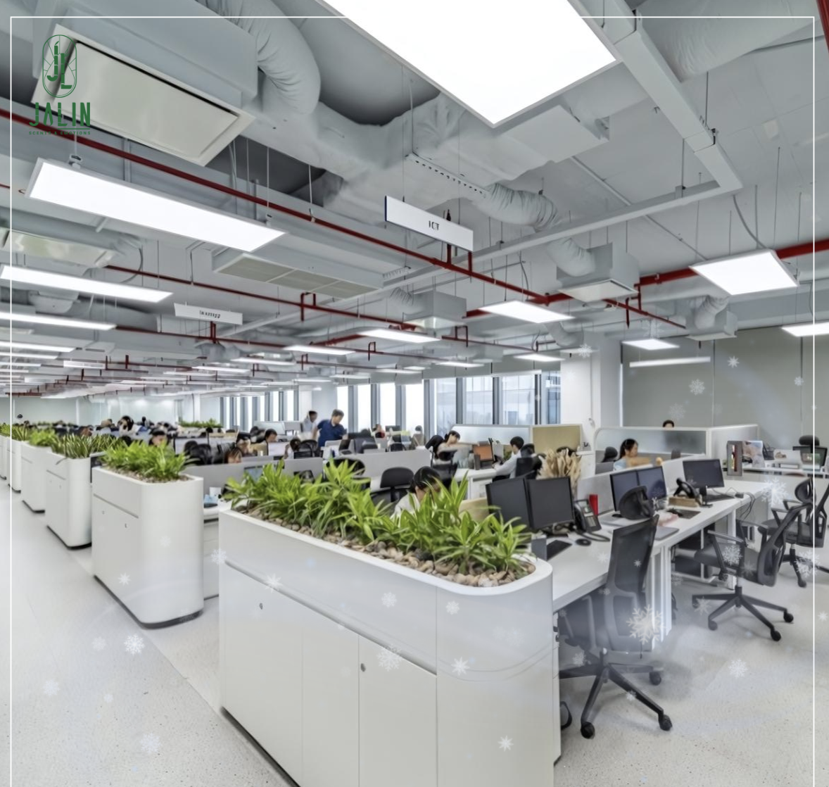 hương thơm trong không gian shinhan Bank