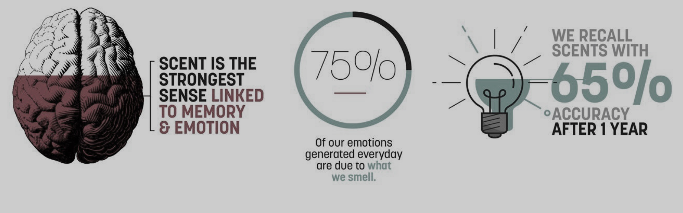 Hương thơm tác động đến hành vi