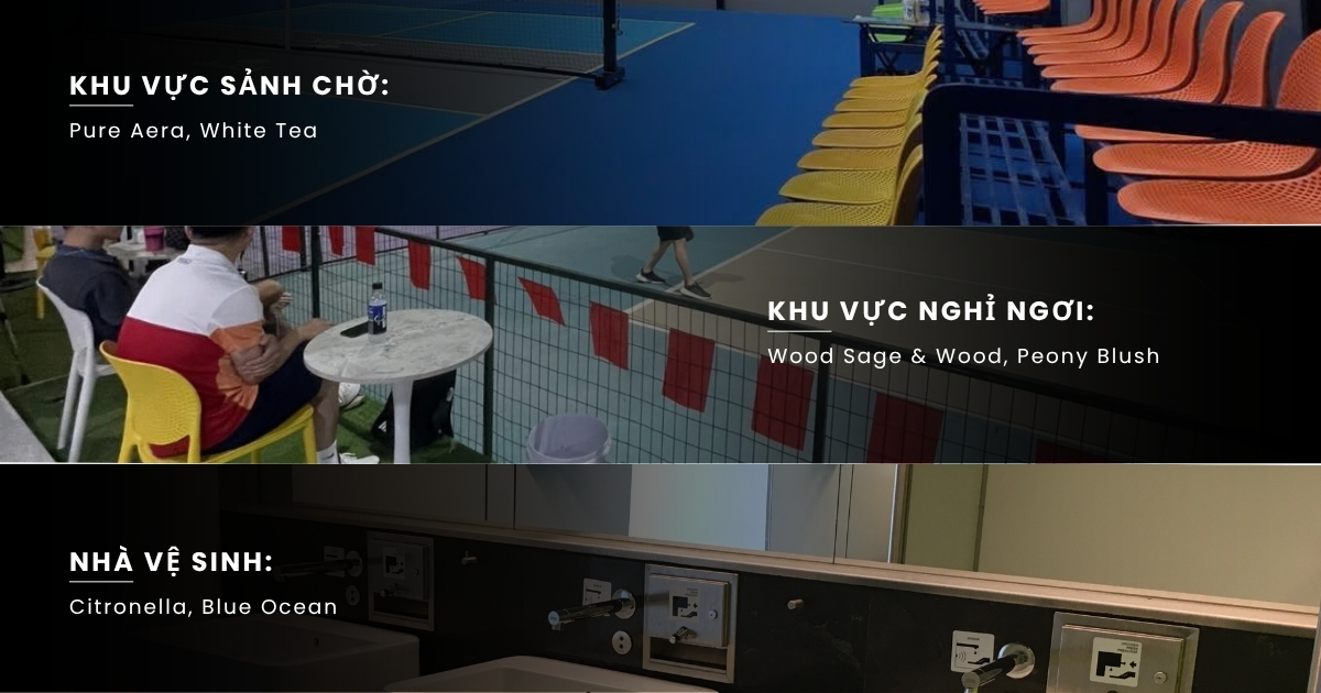 Gợi ý hương thơm sân Pickleball