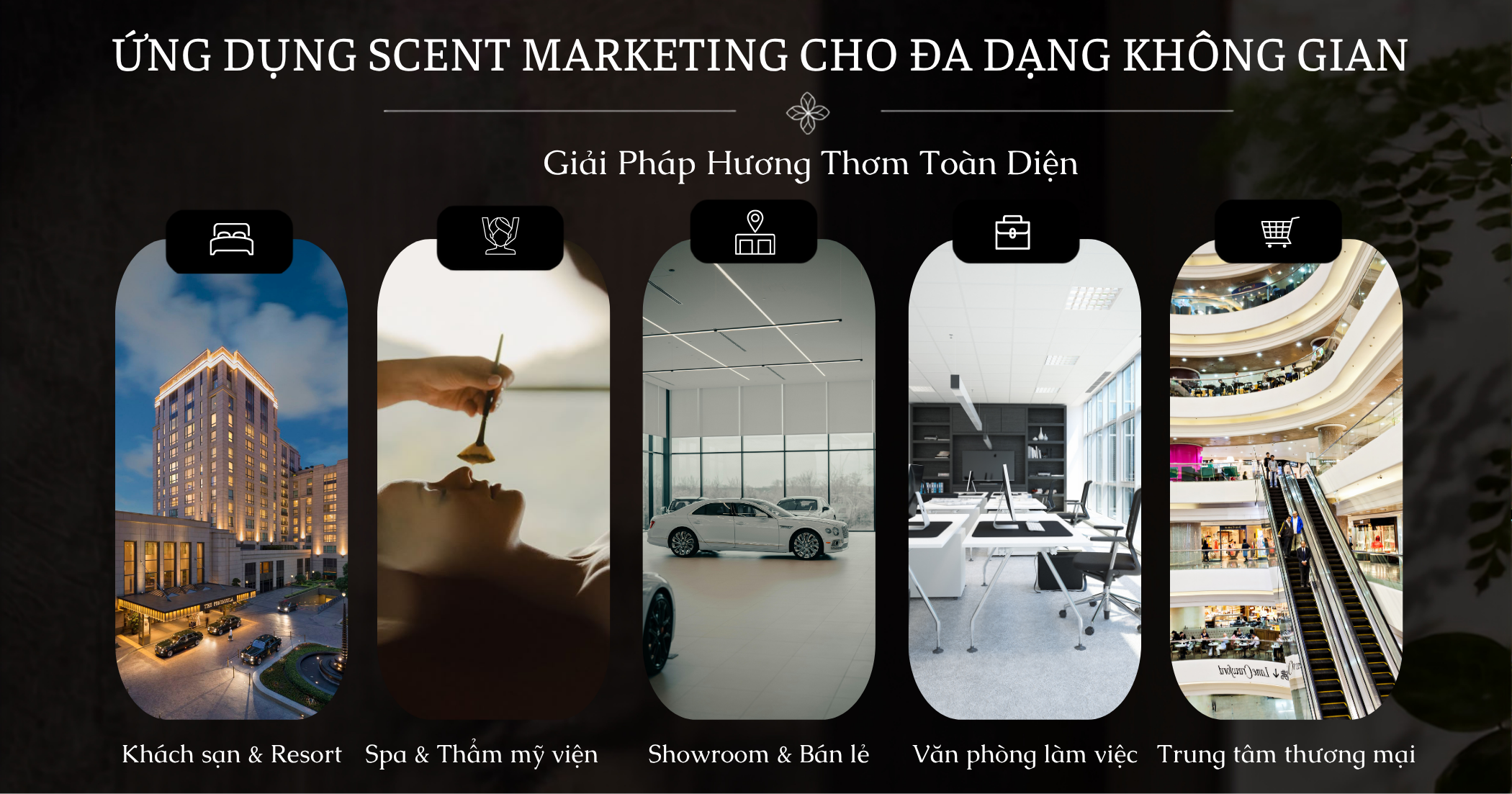 Ứng dụng Scent Marketing cho đa dạng không gian