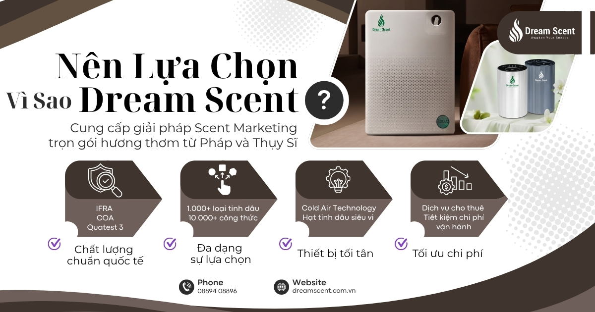 vi-sao-nen-lua-chon-dream-scent
