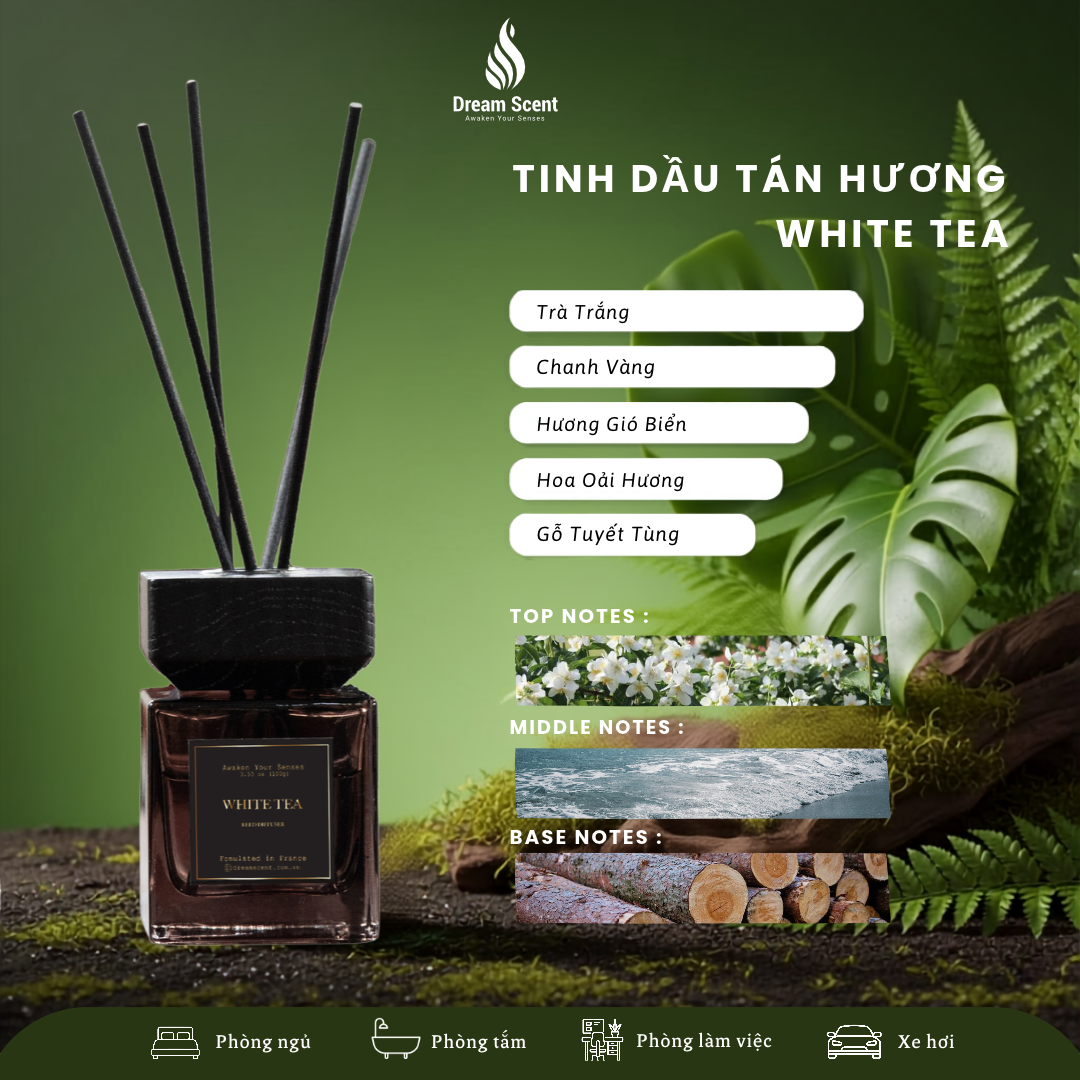 Tán Hương Cao Cấp - White Tea