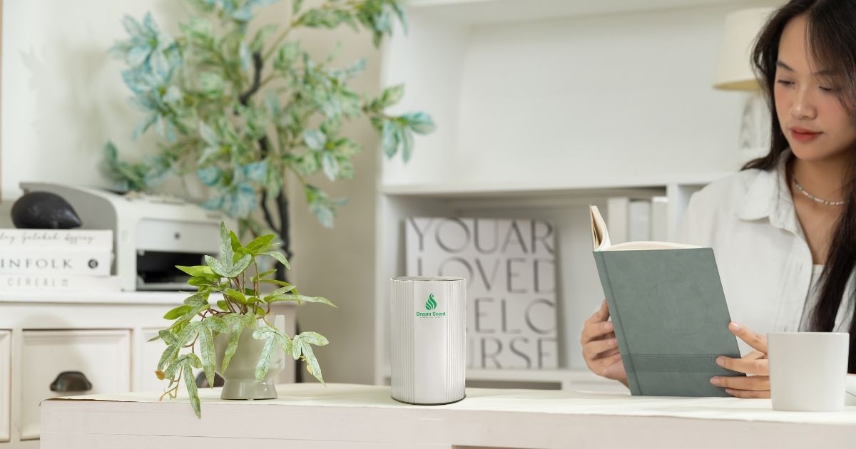 Dream Scent cung cấp dịch vụ lắp đặt máy khuếch tán 
